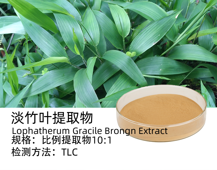 淡竹叶提取物