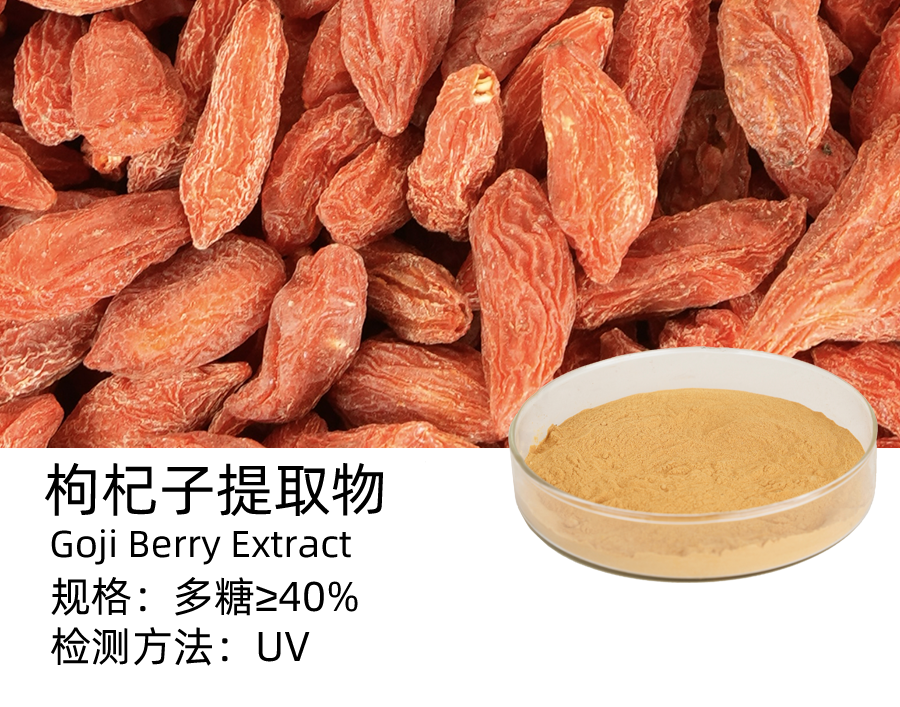 枸杞子提取物