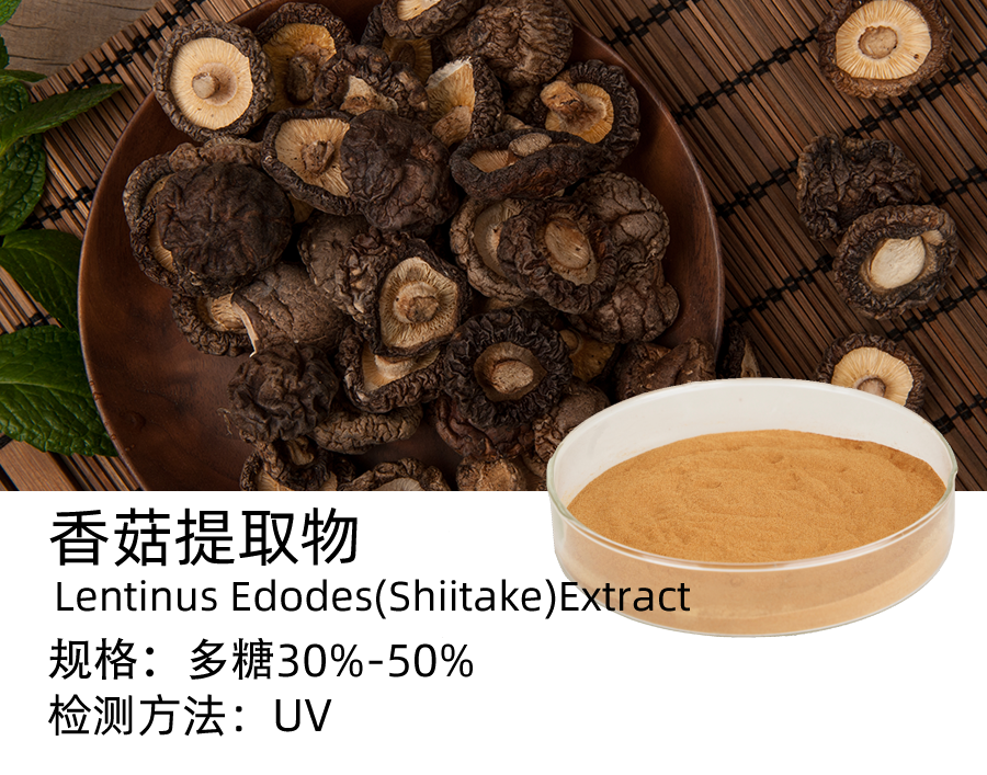 香菇提取物