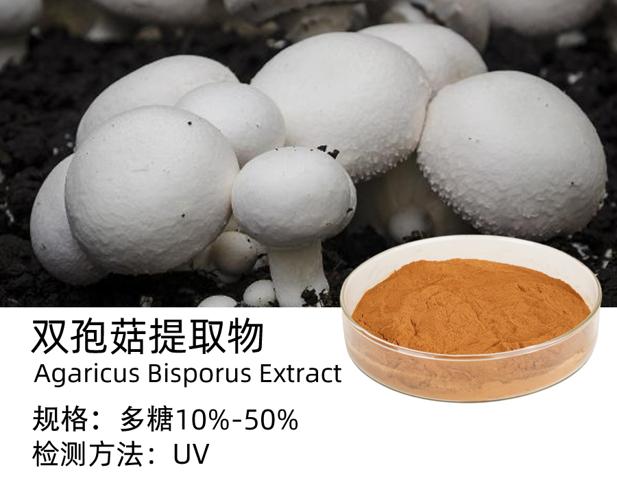 双孢菇提取物